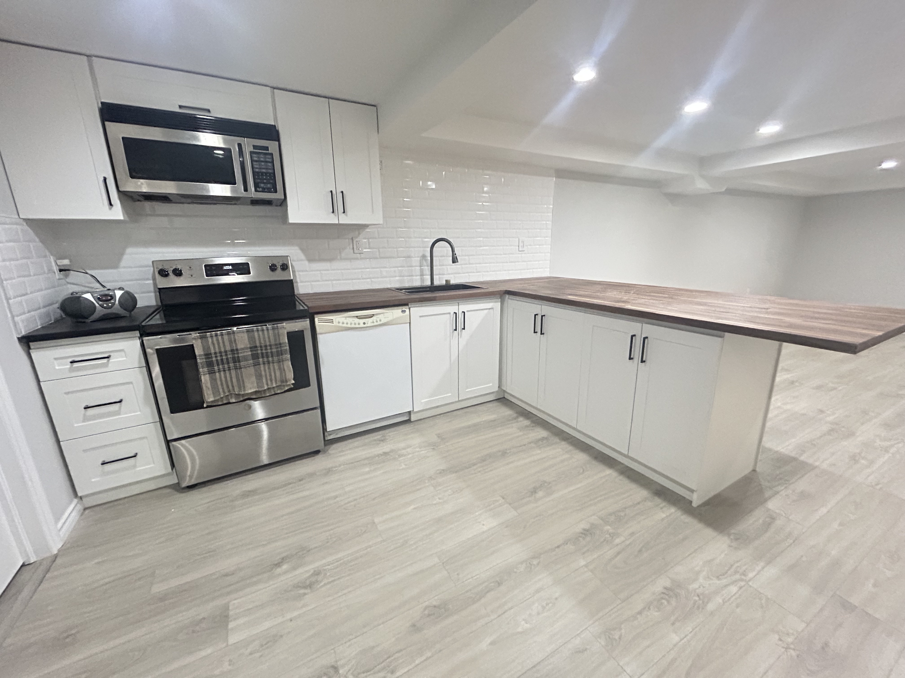 450 Ferguson Avenue North - Basement